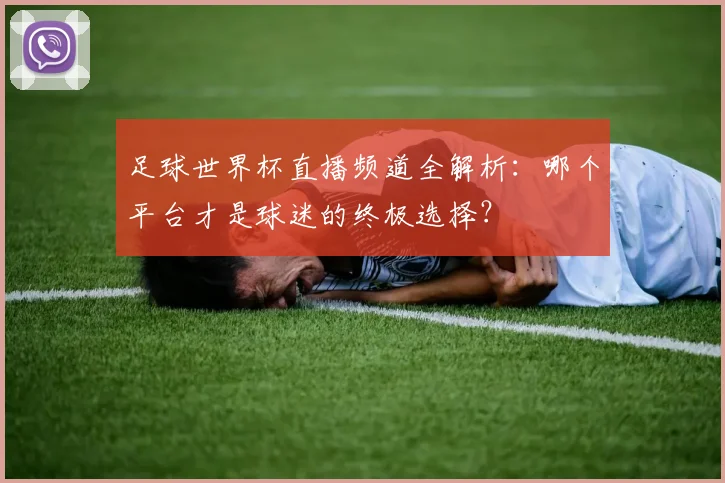 足球世界杯直播频道全解析:哪个平台才是球迷的终极选择?