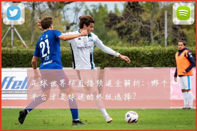 足球世界杯直播频道全解析:哪个平台才是球迷的终极选择?