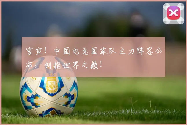 官宣!中国电竞国家队主力阵容公布,剑指世界之巅!
