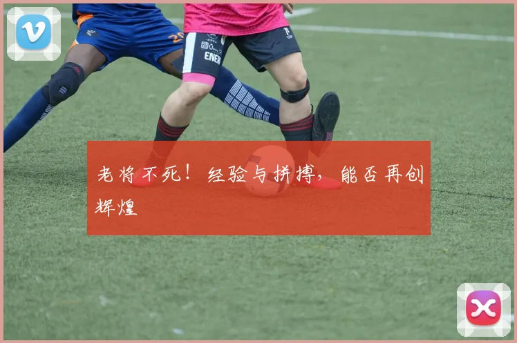 老将不死!经验与拼搏,能否再创辉煌